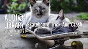 Skateboard Trick And Crash