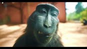Monkey Rizz (Edit)