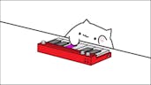 bongo cat 18 secs..?