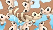 Furret walk around the world