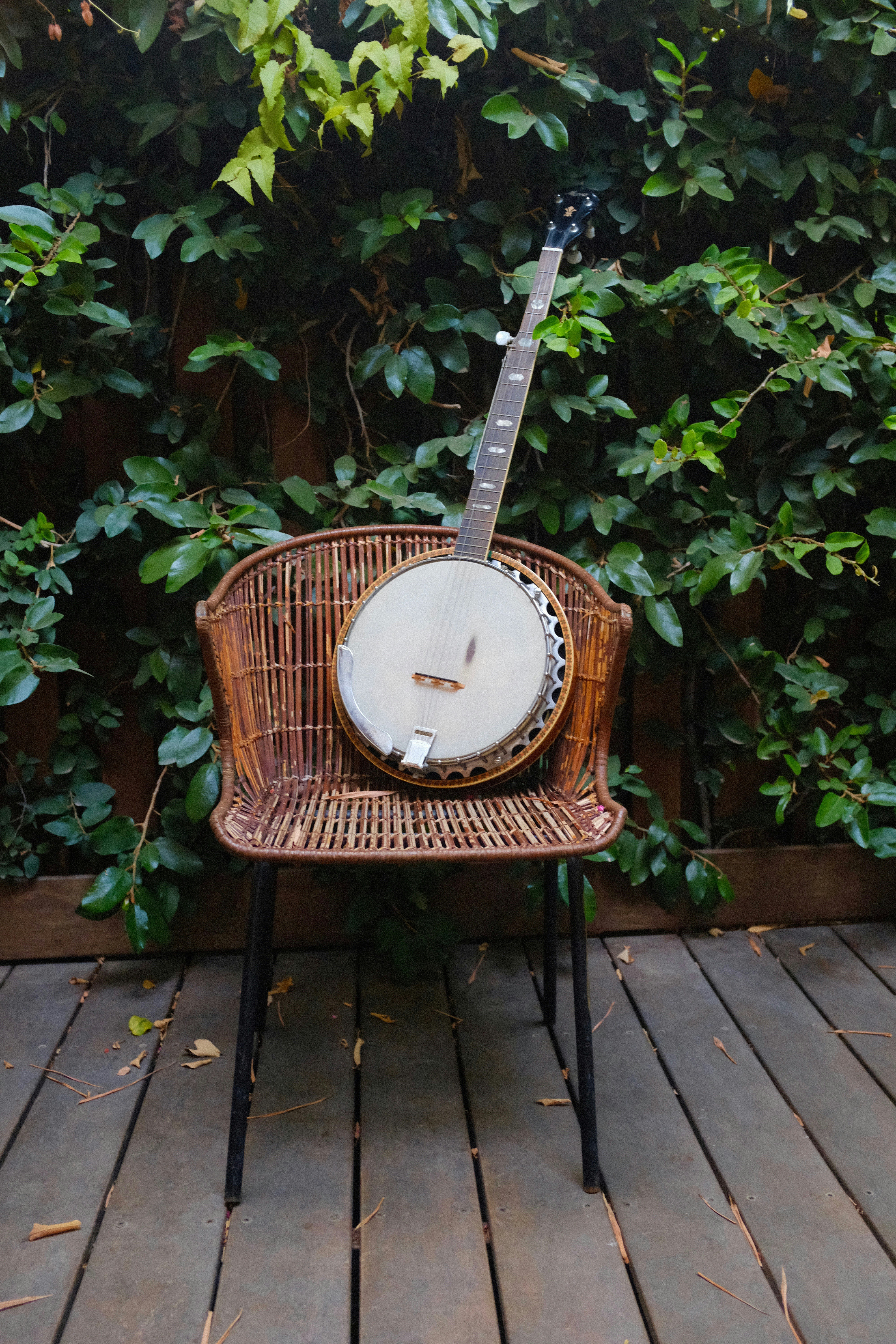 Banjo Strings and Joy