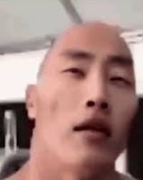 MAd Monkey