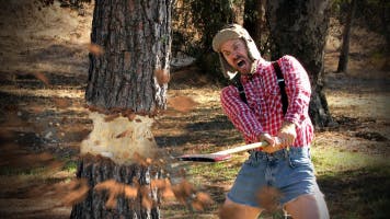Tree wood Chop With Axe