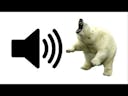 Angry Polar Bear SFX