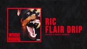 ric flair drip