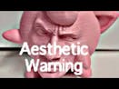 AESTHETIC WARNING