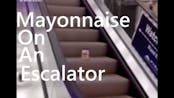 mayonnaise on an escalotor