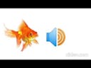 Goldfish Sound