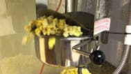 Sweet corn
