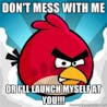 angry bird meme