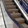 MAYONAISE ON AN ESCALATOR