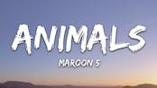 Animals