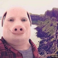 john pork calling Meme Sound Effect - Voicy
