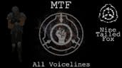 MTF Nine-Tailed Fox |Shut the hell up