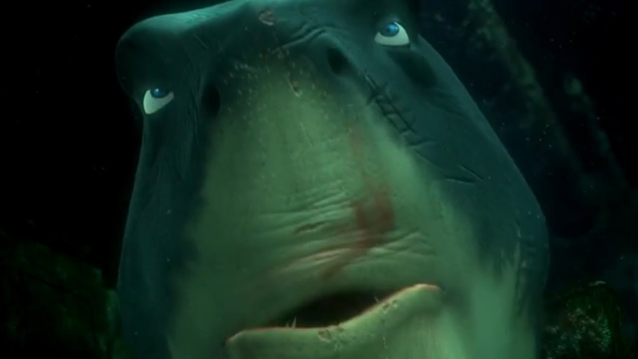 HeLLO mY NAme Is bRUce - Finding Nemo