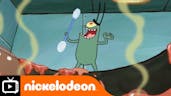 Plankton Idiot