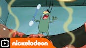 Plankton Idiot