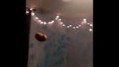 A Potato Flew Around My Room
