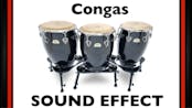 Conga Sample 3