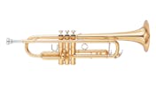 The Boiled One - Trumpet