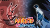 Blue bird -Naruto Shippuden OST