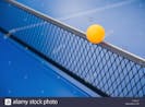 Ping Pong Ball Hits Table