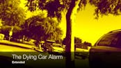 Dying car alarm drops a beat