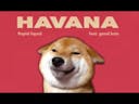Havana - Shibe cover