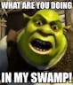 what are you doing in my swamp
