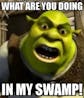 what are you doing in my swamp