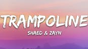 SHAED x ZAYN - Trampoline (Lyrics)