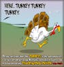 Here turkey turkey