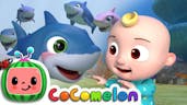 Baby Shark CoCoMelon