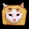 bread cat