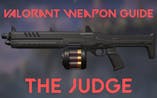 Valorant Weapon Judge 