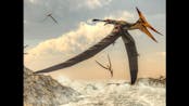 Pterosaur Weird Calling