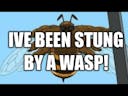 IVE BEEN STUNG BY A WASP! - remix