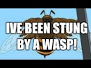 IVE BEEN STUNG BY A WASP! - remix