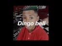 dingo bell