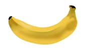 Banana Chewing 