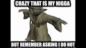 My Nigga That's Crazy But I Don't Remember Asking (Yoda)