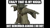 My Nigga That's Crazy But I Don't Remember Asking (Yoda)