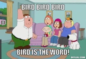 Bird is the word