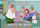 Bird is the word