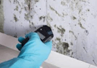 Mold Testing Services