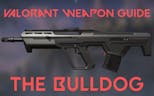 Valorant Weapon Bulldog Single 