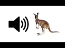 Kangaroo  Sound Effect 