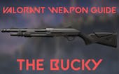 Valorant Weapon Bucky Single 