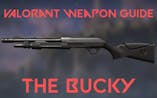 Valorant Weapon Bucky Single 