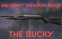 Valorant Weapon Bucky Single 